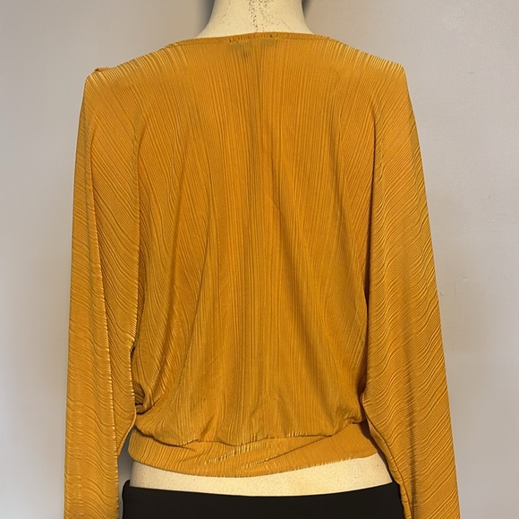Dynamite Cropped Blouse - Picture 3 of 5